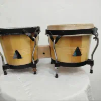 بینگو بنگو