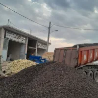 استخدام منشی خانم