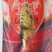 پرچم هواداری پرسپولیس