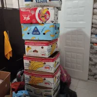 کارتن موز اساس کشی