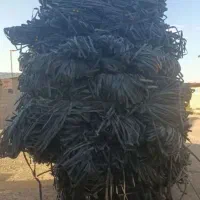 نوار تیپ نوارقطره ی