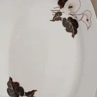 دیس غذا خوری دو عدد
