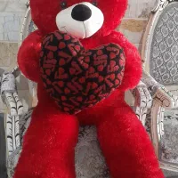 خرس شاسخین بزرگ
