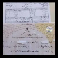 ازاد ،ملی،علمی کاربردی،پیام نور
