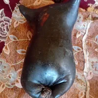 هیزه یاخیه جای روغن