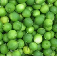 لیموترش تازه و رطب عسلی
