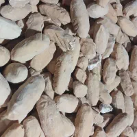 کشک گوسفندی تازه