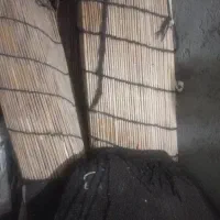 سیاه چادر