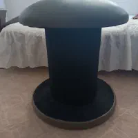 کیسه بوکس و قارچ ژیمناستیک