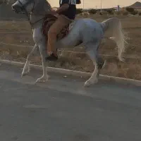 فروشی