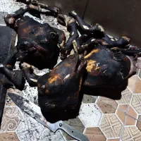 تمیز کردن کله پاچه شبانه روزی وحمل باراساس منزل