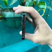 13proMax256|موبایل|مشهد, دانشجو|دیوار
