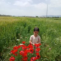 زمین ۹۷۰متری مناسب درقمشه سیدیعقوب