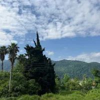 باغ-بادام-ویلا