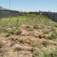 باغ|خدمات باغبانی و درختکاری|خواف, |دیوار