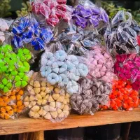 گل پنبه گل خشک شاخه ایی بلند کوتاه