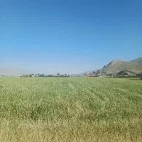 نیم-هکتار-زمین-کشاورزی-با-آب