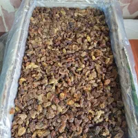 فروش عمده کشمش آفتابی در گونی و کارتن