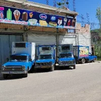 ویزیتور