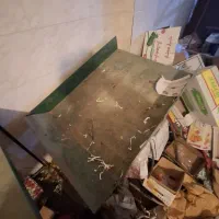 پالت میوه