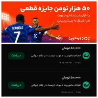 کسب درآمد از بیت پین