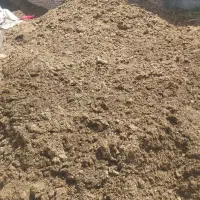 پهن گاو چند نیسان