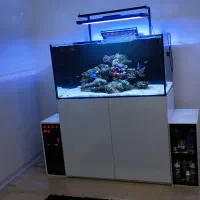 فروش آکواریوم آب شور بصورت یکجا