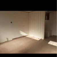 ۵۰متر موکت