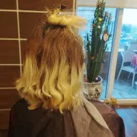 آرایشگر سیار