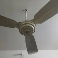 پنکه‌سقفی