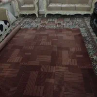 موکت نو