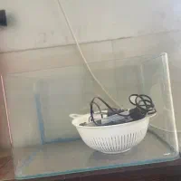 آگواریوم لبه گرد