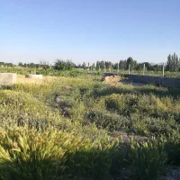 باغ جاده سنتو اردوشاهی