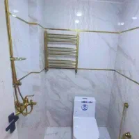 لوله کشی آب،گاز،نشت یابی،تعمیرپکیچ در پردیسان