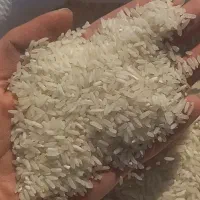 برنج وارداتی