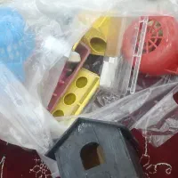 لوازم مرغ عشق فنچ عروس هلندی