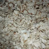 نان خشک دام
