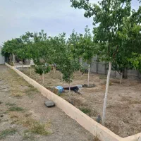 باغ جاده شاندیز/فرح آباد/۴۰۰متری