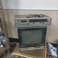 تلویزون