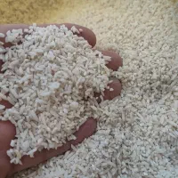 برنج سرلاشه هاشمی