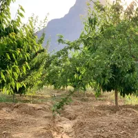 کارگر کشاورزی..