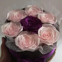 گل روبانی / روز دختر / تولد