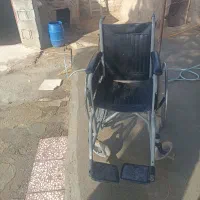 ویلچروتوالت فرهنگی