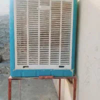 نوع