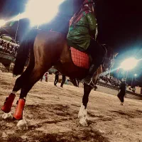 اسب