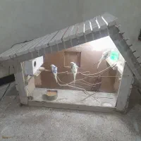 قفس