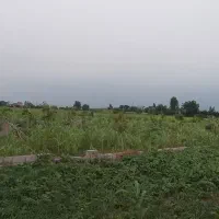 فروش زمین باغی