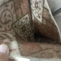 موکت‌12متره