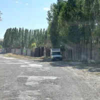 تیبا