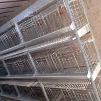 قفس مرغ تخمگذار